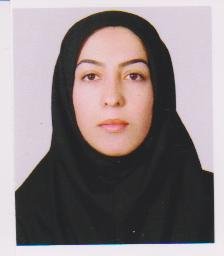 تصویر پروفایل